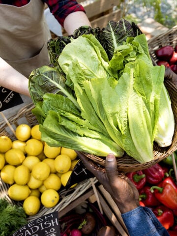 assortment of vegetables