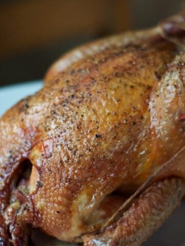 roast chicken