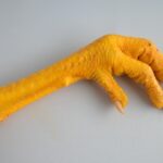 chicken foot