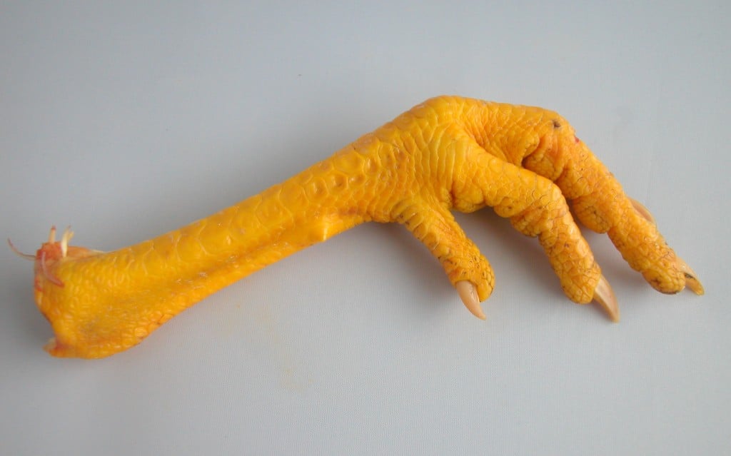 chickenfoot