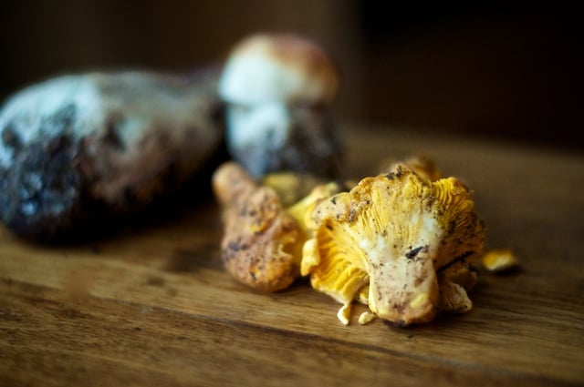 chanterelles and bolete mushrooms on wooden surface