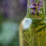 lavender infused oil
