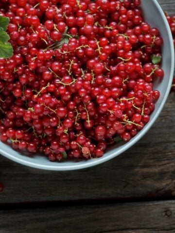 red currants for pie