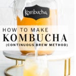 Pinterest pin how to make kombucha
