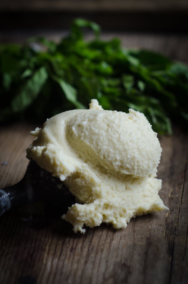Vanilla Mint Ice Cream