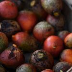 red beets