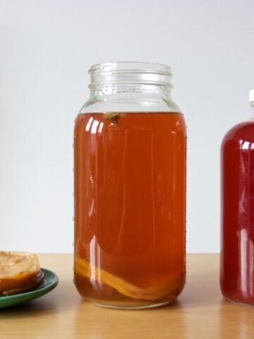 kombucha plus scoby