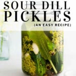 pinterest pin sour dill pickles