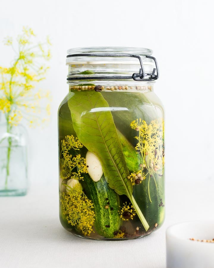 Sour pickles fermenting a glass jar with garlic, flowering dill and spices.