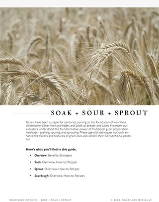soak + sour + sprout screen shot