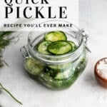 quick pickle pinterest pin